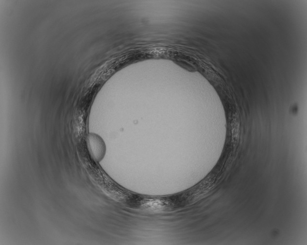 X0000115120611200912081346