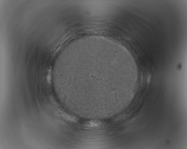 X0000115120612200912081346