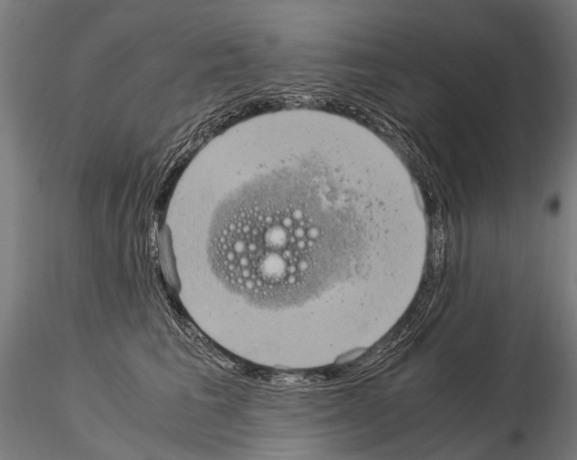 X0000115120613200912081346