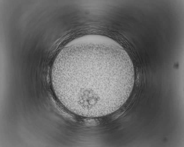 X0000115120616200912081346