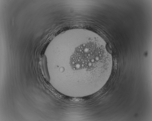 X0000115120617200912081346