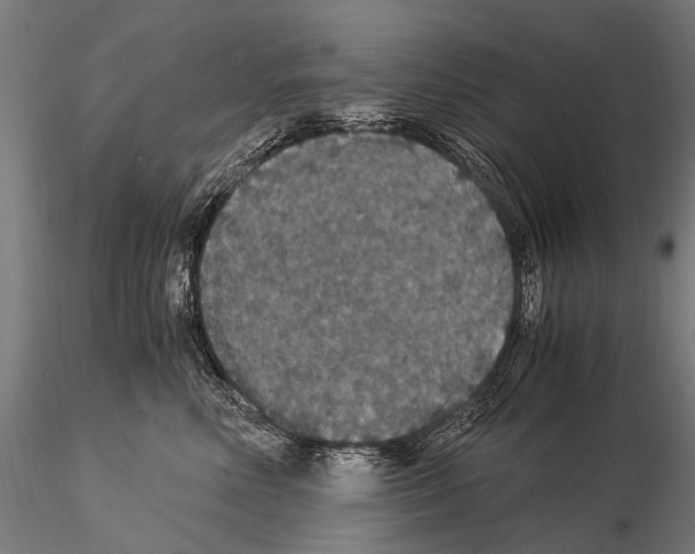 X0000115120618200912081346