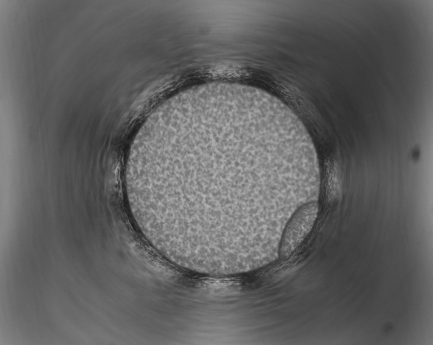 X0000115120619200912081346