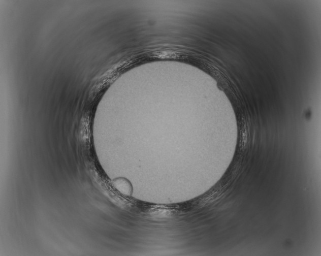 X0000115120620200912081346