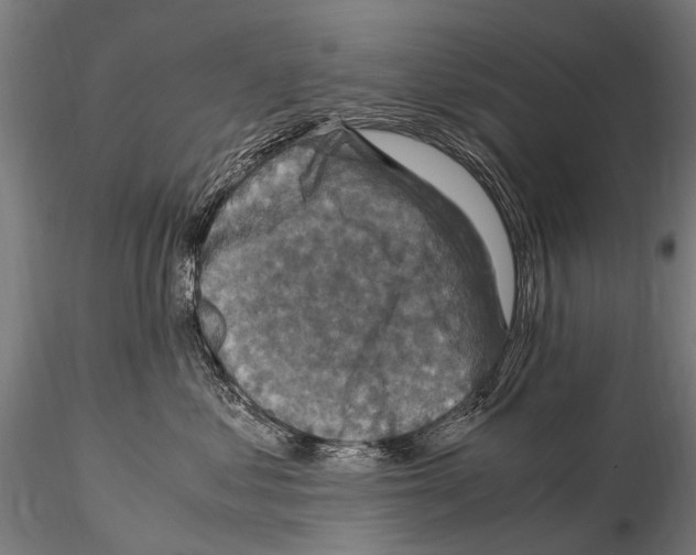 X0000115120621200912081346