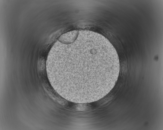 X0000115120623200912081346