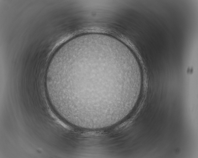 X0000115120625200912081345