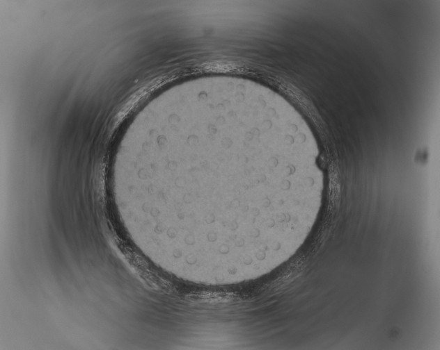 X0000115120626200912081345