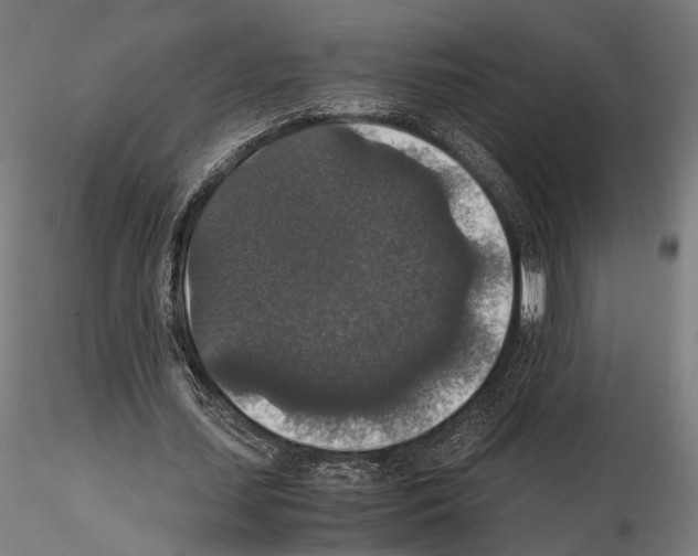 X0000115120627200912081345