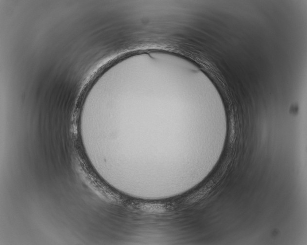 X0000115120628200912081345