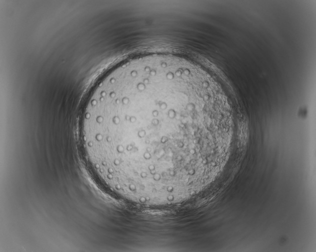 X0000115120629200912081345