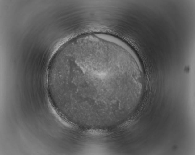 X0000115120630200912081345