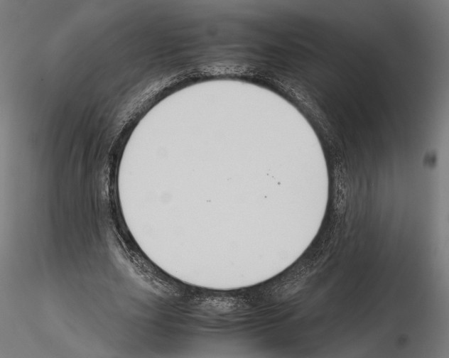 X0000115120631200912081345