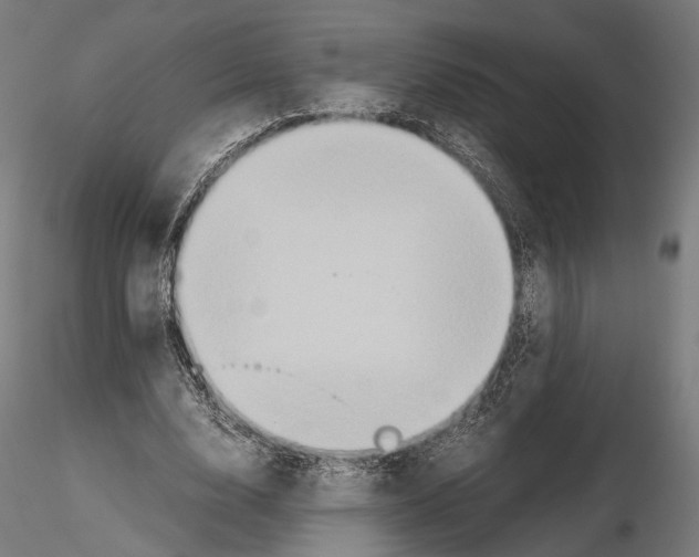 X0000115120632200912081345