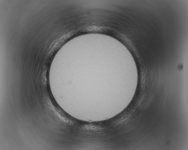 X0000115120633200912081345