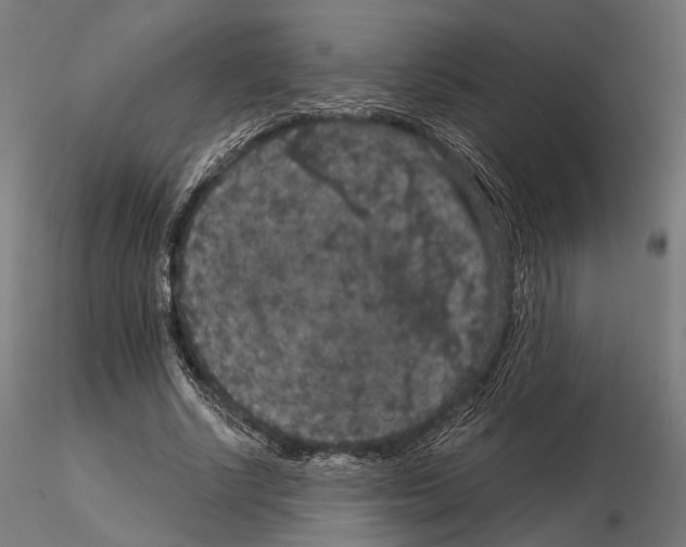 X0000115120634200912081345