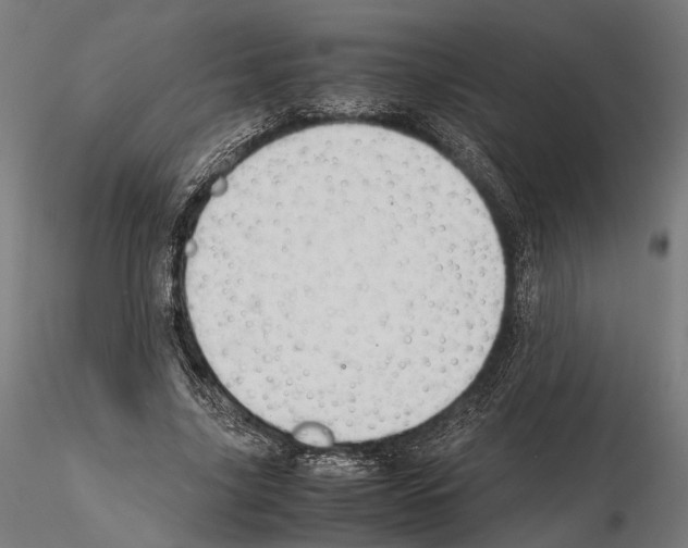 X0000115120635200912081345