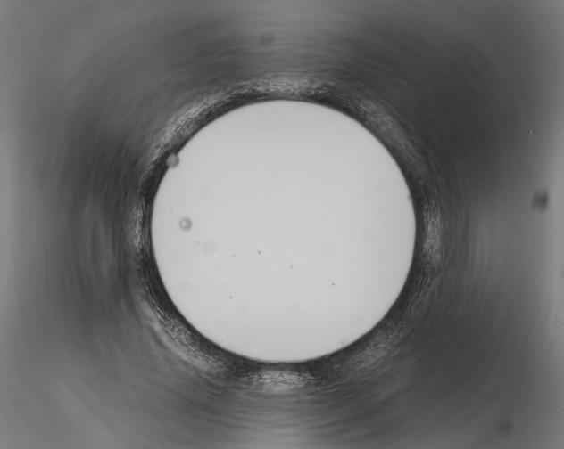 X0000115120636200912081345