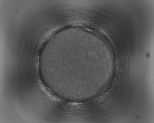 X0000115120637200912081345