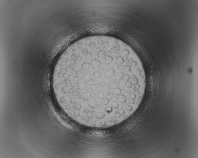 X0000115120638200912081345