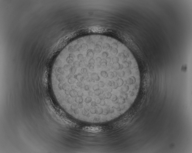 X0000115120639200912081345