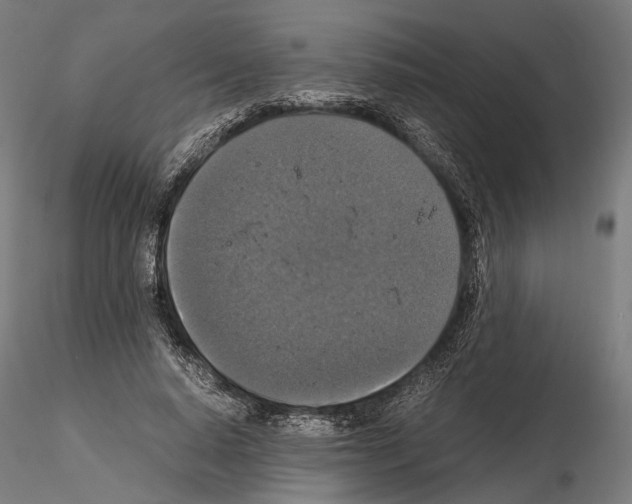 X0000115120640200912081345