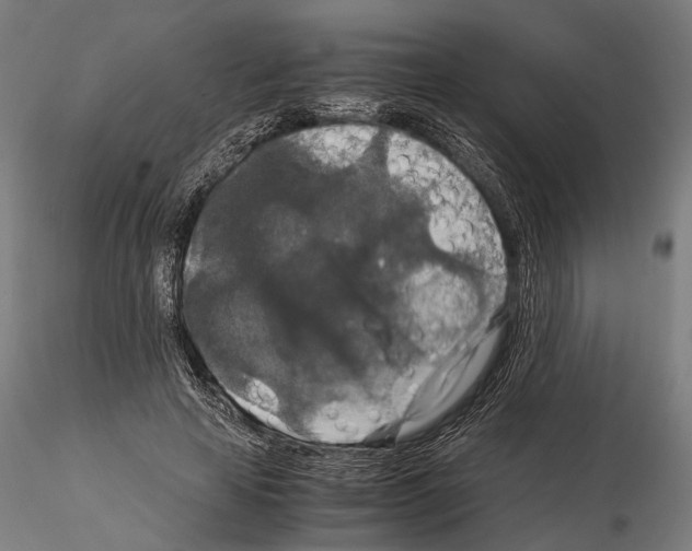 X0000115120641200912081345