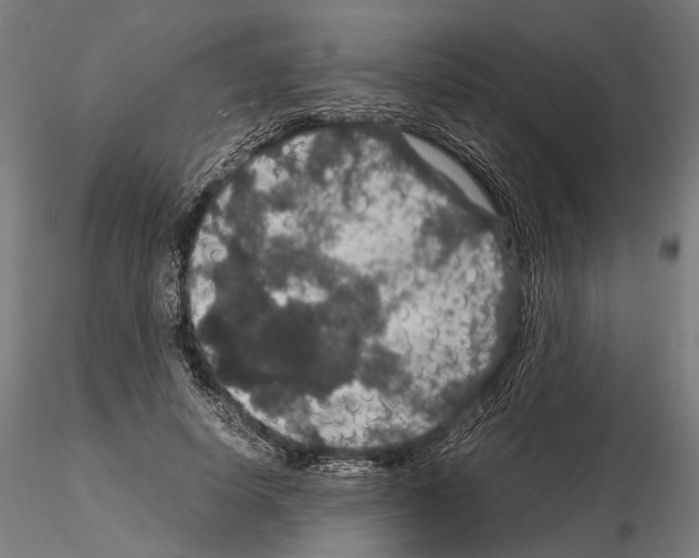 X0000115120642200912081345