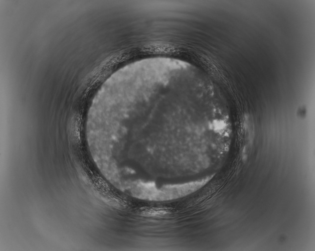 X0000115120643200912081345