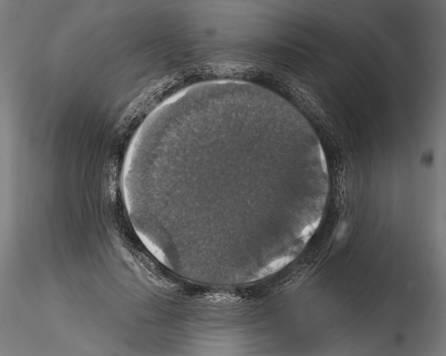 X0000115120644200912081345