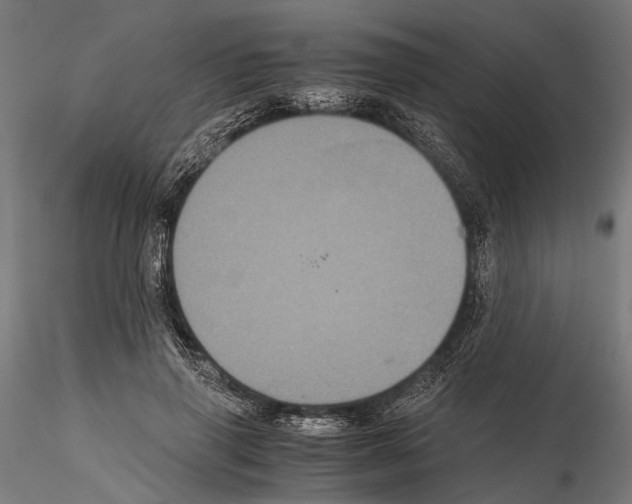 X0000115120645200912081345