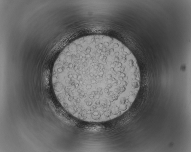 X0000115120646200912081345