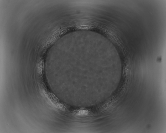 X0000115120647200912081345