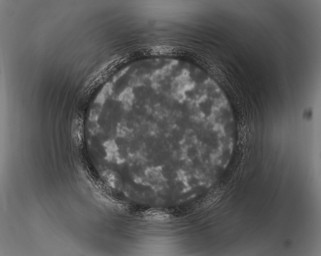 X0000115120648200912081345