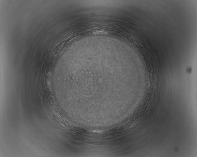 X0000115120649200912081345