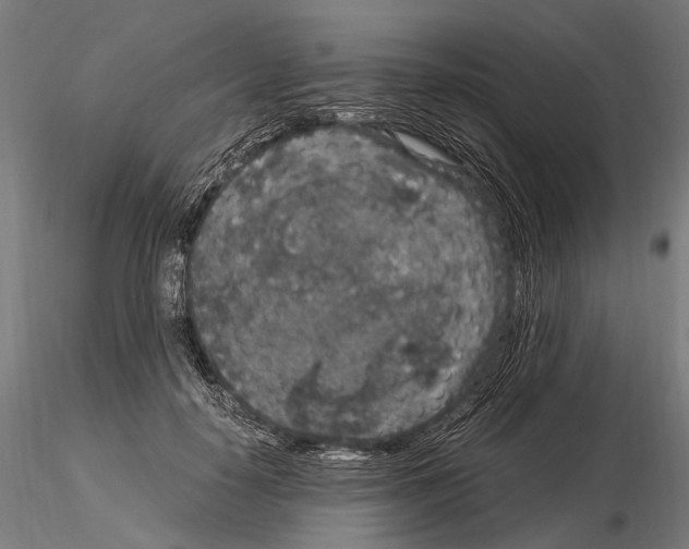 X0000115120650200912081345