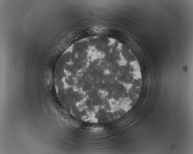 X0000115120651200912081345