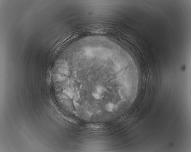 X0000115120652200912081345