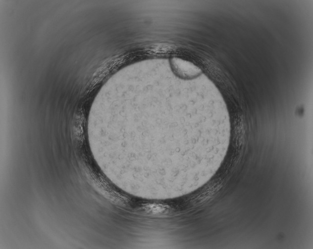 X0000115120654200912081345