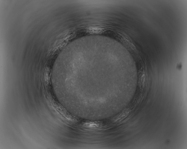 X0000115120655200912081345