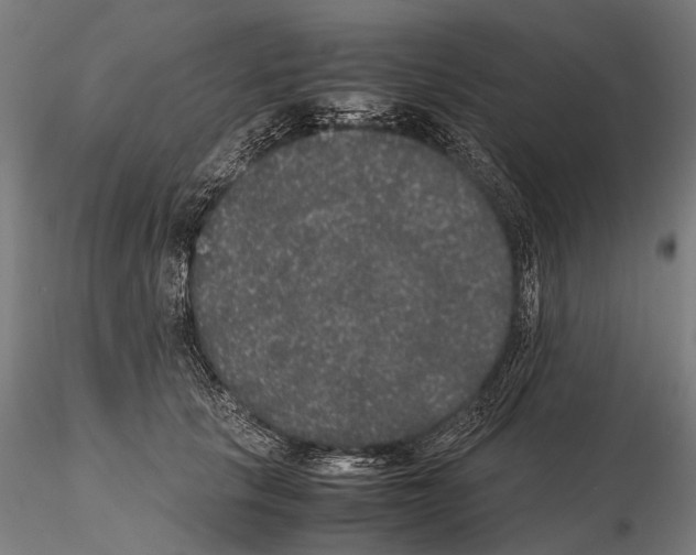 X0000115120657200912081345