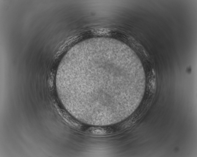 X0000115120658200912081345