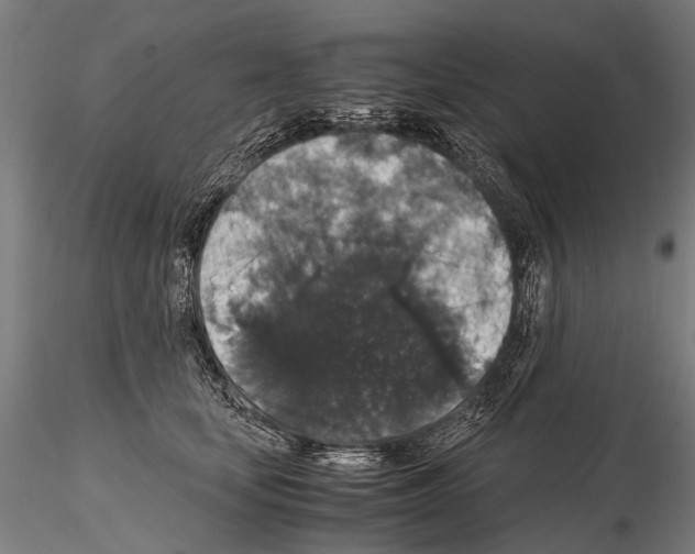 X0000115120659200912081345