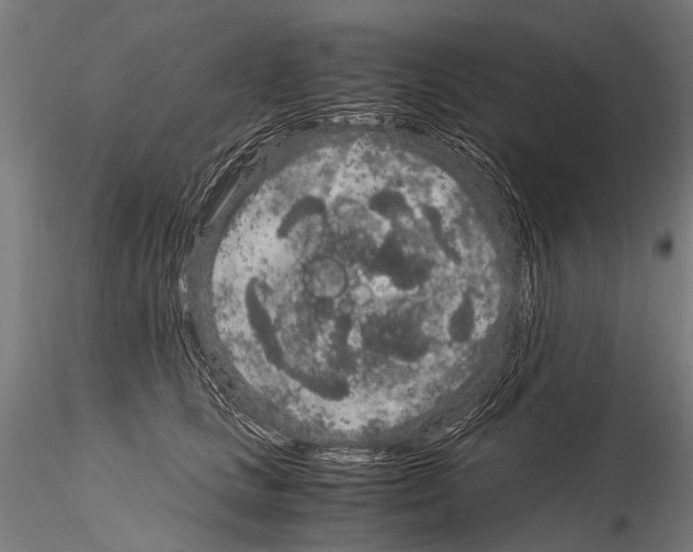 X0000115120661200912081346