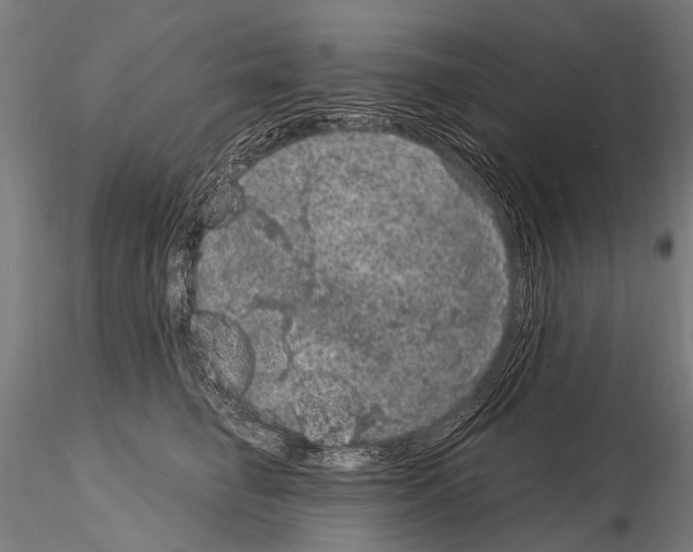 X0000115120662200912081346