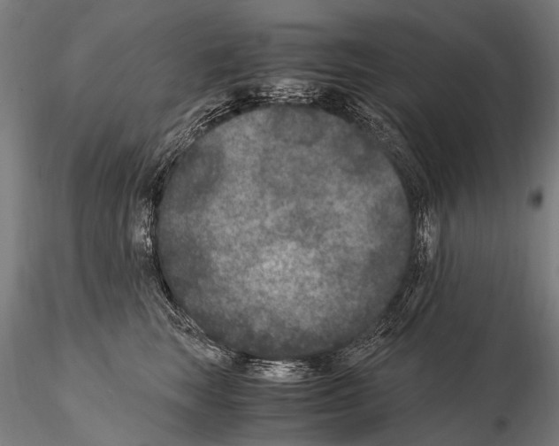 X0000115120663200912081346