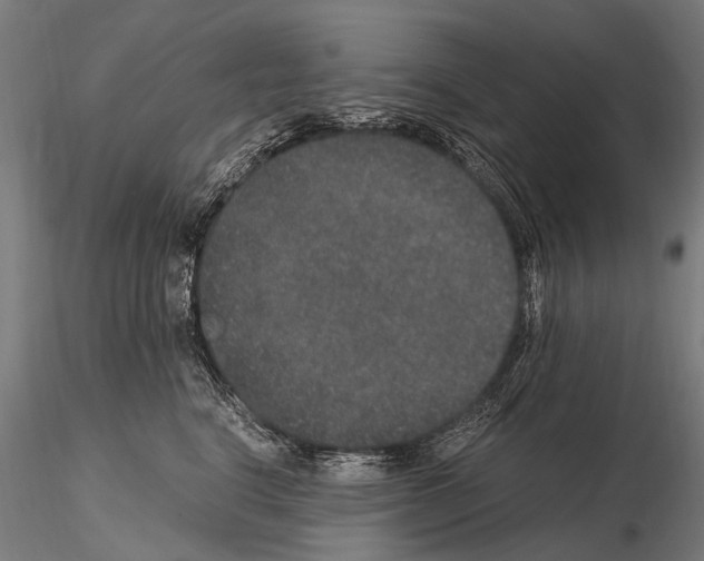 X0000115120664200912081346