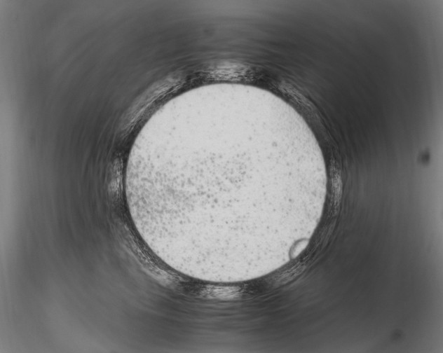 X0000115120665200912081346