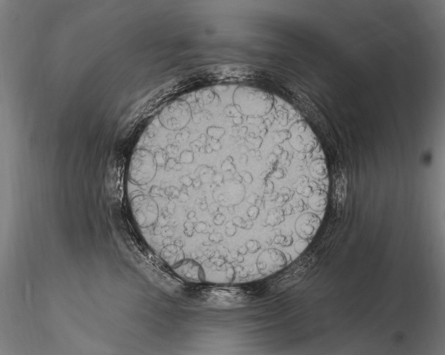 X0000115120666200912081346