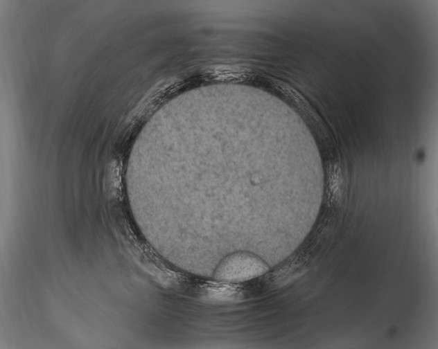 X0000115120667200912081346